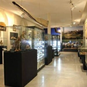 Visita al Museo Aguilar y Eslava