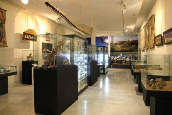 Visita al Museo Aguilar y Eslava